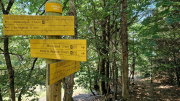 Aigoual_26_06-132