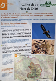 Aigoual_26_06-133