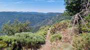 Aigoual_26_06-134