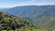 Aigoual_26_06-135