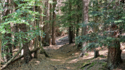 Aigoual_26_06-136