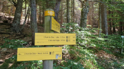 Aigoual_26_06-137
