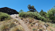 Aigoual_26_06-139