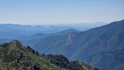 Aigoual_26_06-142