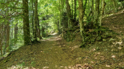 Aigoual_26_06-148