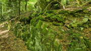 Aigoual_26_06-150