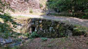 Aigoual_26_06-154