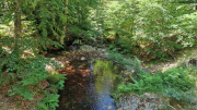 Aigoual_26_06-155