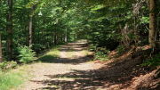 Aigoual_26_06-156