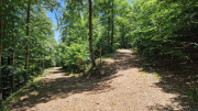 Aigoual_26_06-157