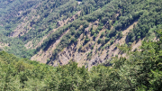 Aigoual_26_06-161