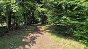 Aigoual_26_06-19