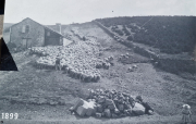Aigoual_26_06-2