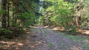 Aigoual_26_06-21