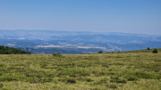 Aigoual_26_06-23