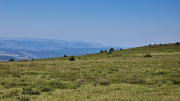 Aigoual_26_06-24
