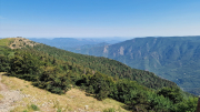 Aigoual_26_06-43