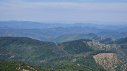 Aigoual_26_06-55