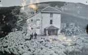 Aigoual_26_06-6