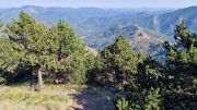Aigoual_26_06-60