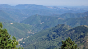 Aigoual_26_06-61