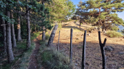 Aigoual_26_06-64