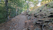 Aigoual_26_06-65