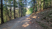 Aigoual_26_06-66