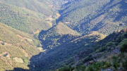 Aigoual_26_06-69