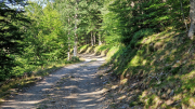 Aigoual_26_06-73