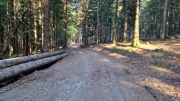 Aigoual_26_06-74