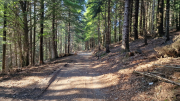 Aigoual_26_06-75