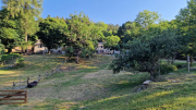 Aigoual_26_06-88