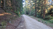 Aigoual_26_06-89