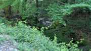 Aigoual_26_06-90
