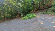 Aigoual_26_06-92
