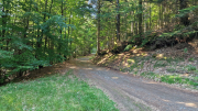 Aigoual_26_06-93