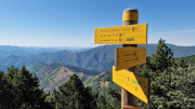 Aigoual_26_06-96