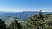 Aigoual_26_06-97