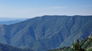 Aigoual_26_06-98