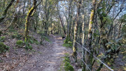 Brion_26_03-10