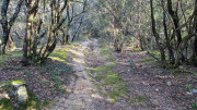 Brion_26_03-11