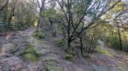 Brion_26_03-13
