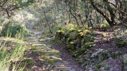 Brion_26_03-16