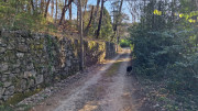 Brion_26_03-2