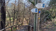 Brion_26_03-24