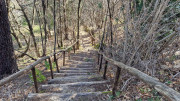 Brion_26_03-25