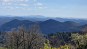 Brion_26_03-35