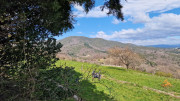 Brion_26_03-37