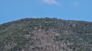 Brion_26_03-39